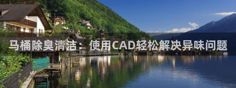 尊龙人生就是博旧版：马桶除臭清洁：使用CAD轻松解决异味