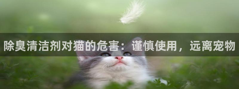 尊龙凯时能做退米么：除臭清洁剂对猫的危害：谨慎使用，远离