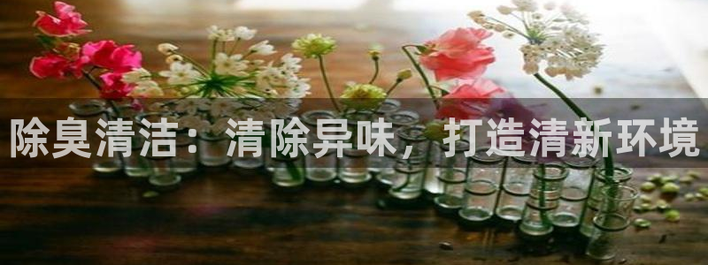 尊龙凯时正规吗：除臭清洁：清除异味，打造清新环境